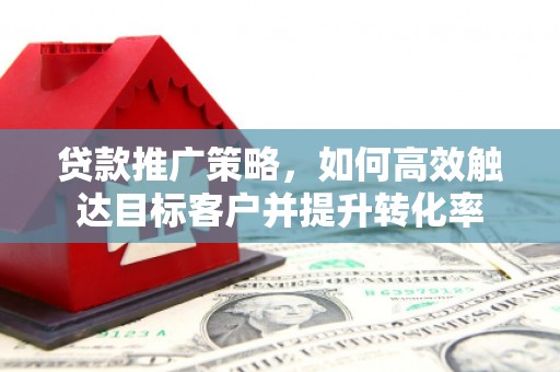 东台贷款推广策略，如何高效触达目标客户并提升转化率