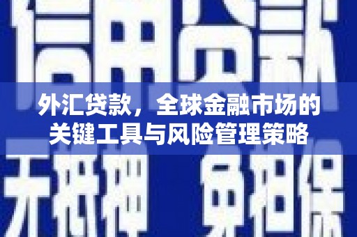 东台外汇贷款，全球金融市场的关键工具与风险管理策略