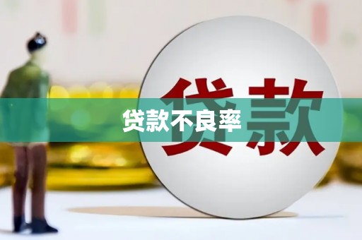 东台贷款不良率