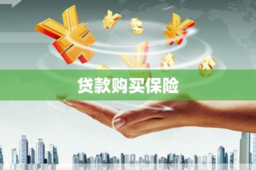 东台贷款购买保险
