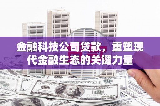 东台金融科技公司贷款，重塑现代金融生态的关键力量