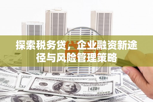 东台探索税务贷，企业融资新途径与风险管理策略