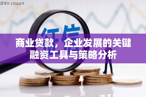 东台商业贷款，企业发展的关键融资工具与策略分析