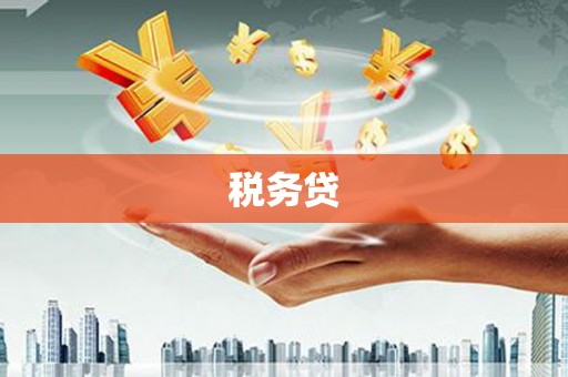 东台税务贷