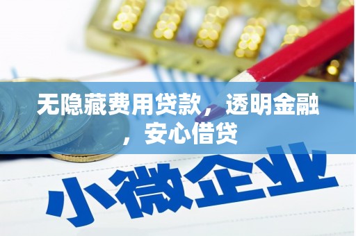 东台无隐藏费用贷款，透明金融，安心借贷