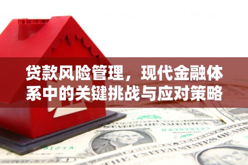 东台贷款风险管理，现代金融体系中的关键挑战与应对策略