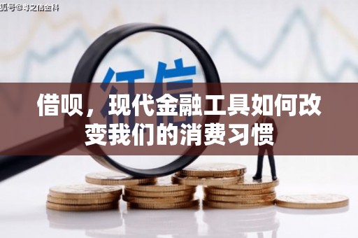 东台借呗，现代金融工具如何改变我们的消费习惯