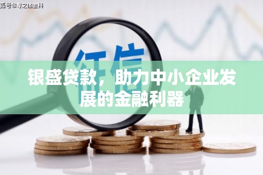 东台银盛贷款，助力中小企业发展的金融利器