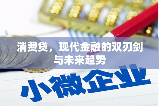 东台消费贷，现代金融的双刃剑与未来趋势