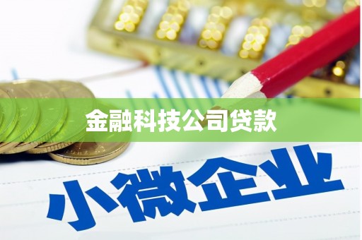 东台金融科技公司贷款