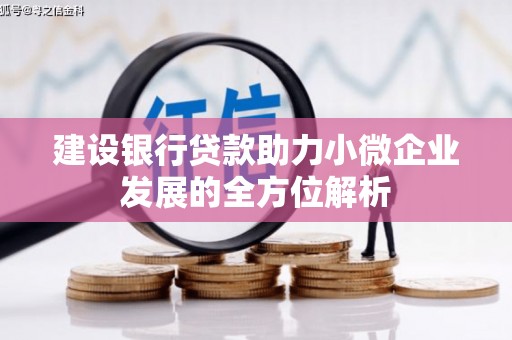 东台建设银行贷款助力小微企业发展的全方位解析