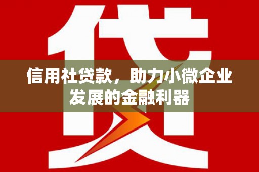 东台信用社贷款，助力小微企业发展的金融利器