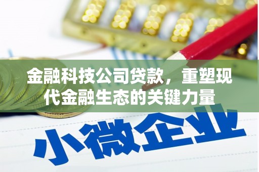 东台金融科技公司贷款，重塑现代金融生态的关键力量