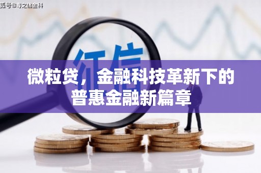 东台微粒贷，金融科技革新下的普惠金融新篇章