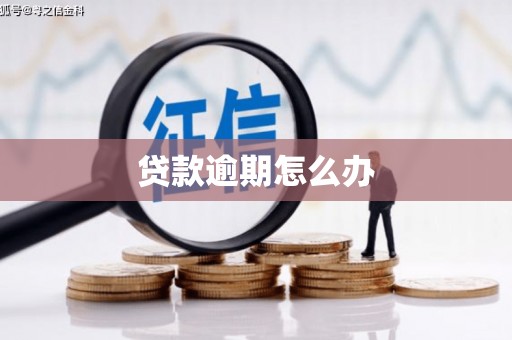 东台贷款逾期怎么办