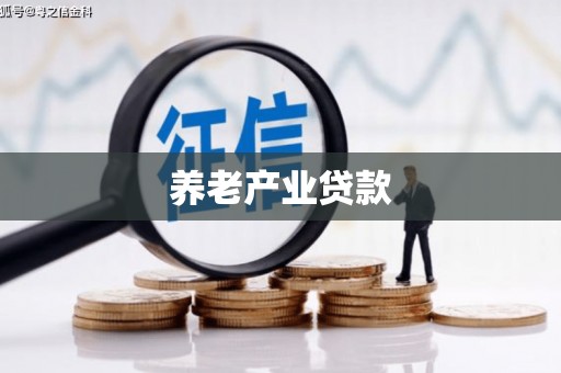 东台养老产业贷款