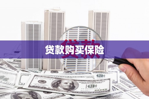 东台贷款购买保险