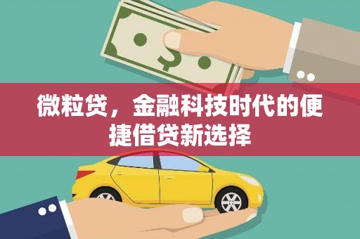 东台微粒贷，金融科技时代的便捷借贷新选择
