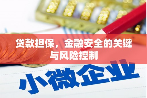 东台贷款担保，金融安全的关键与风险控制