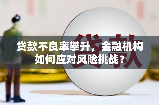 东台贷款不良率攀升，金融机构如何应对风险挑战？