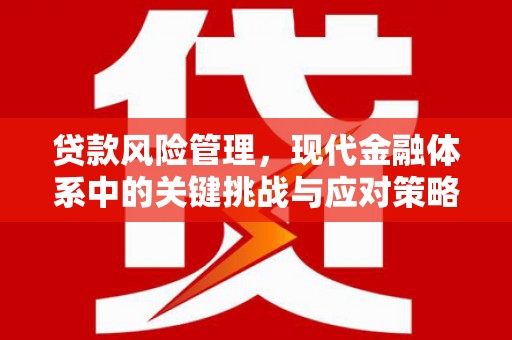 东台贷款风险管理，现代金融体系中的关键挑战与应对策略