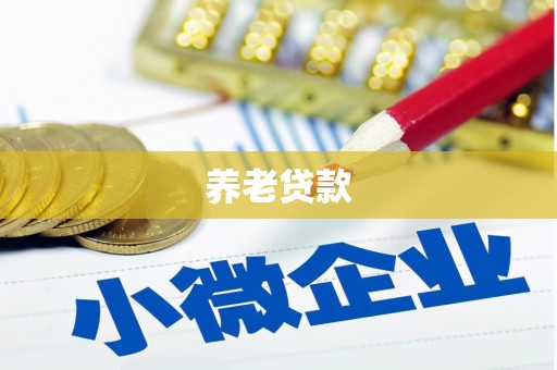 东台养老贷款