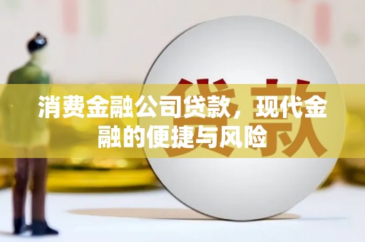 东台消费金融公司贷款，现代金融的便捷与风险