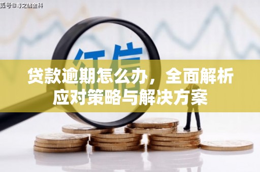 东台贷款逾期怎么办，全面解析应对策略与解决方案
