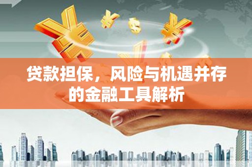 东台贷款担保，风险与机遇并存的金融工具解析