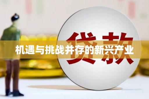 东台机遇与挑战并存的新兴产业