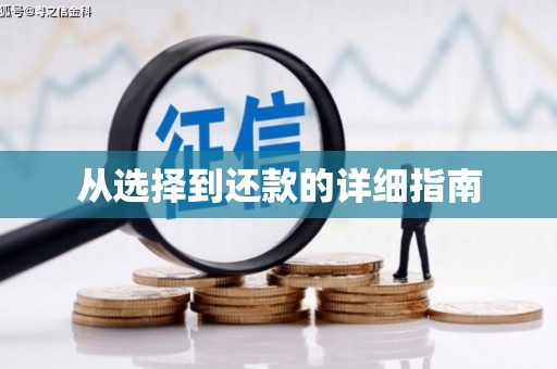 东台从选择到还款的详细指南