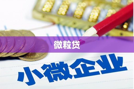 东台微粒贷