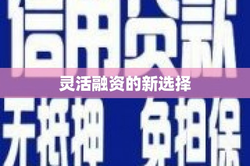 东台灵活融资的新选择