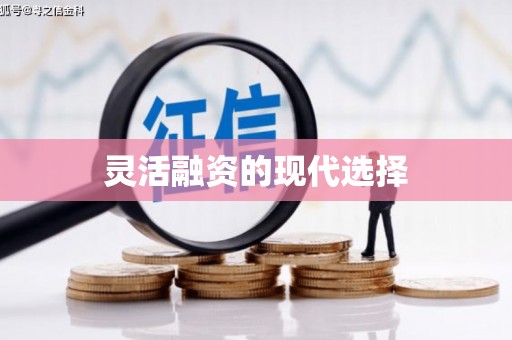 东台灵活融资的现代选择