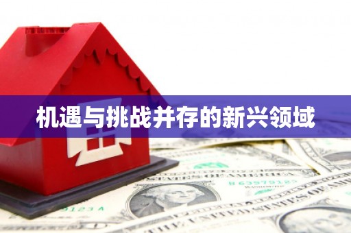 东台机遇与挑战并存的新兴领域