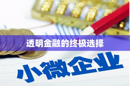 东台透明金融的终极选择