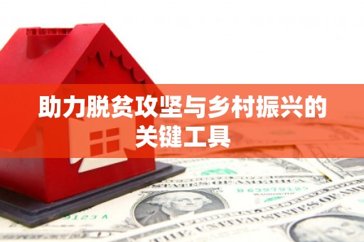 东台助力脱贫攻坚与乡村振兴的关键工具
