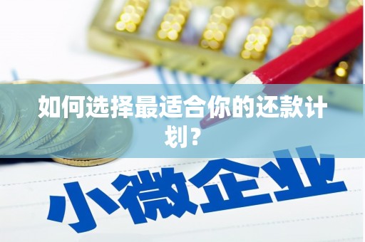 东台如何选择最适合你的还款计划？