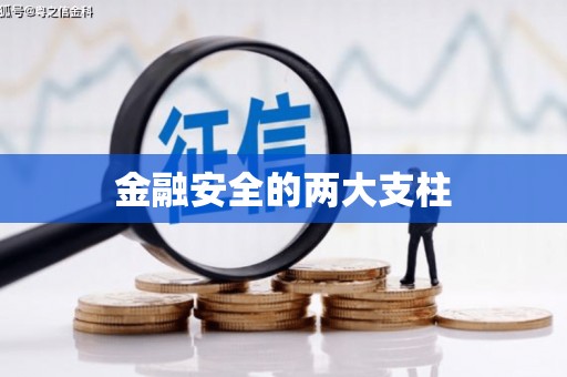 东台金融安全的两大支柱
