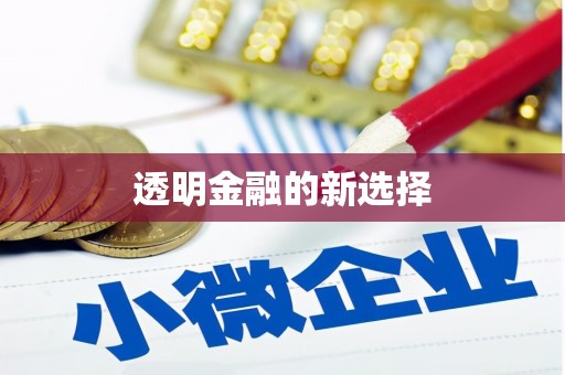 东台透明金融的新选择