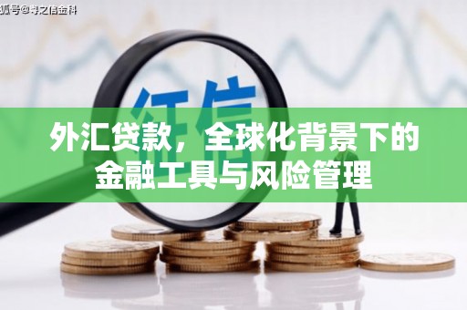 东台外汇贷款，全球化背景下的金融工具与风险管理