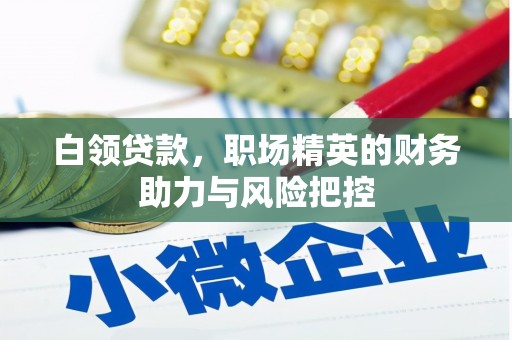 东台白领贷款,职场精英的财务助力与风险把控 东台白领贷款,职场精英的财务助力与风险把控